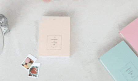 D1-1_polaroid.gif