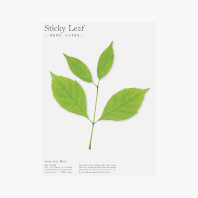 스티키리프 버치(Green, L)