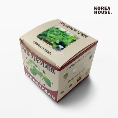 강낭콩 키우기세트
