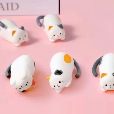 데굴데굴 고양이