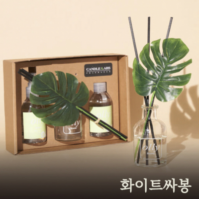 올리 몬스테라 디퓨저 기프트세트_화이트싸봉