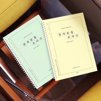 천자문을 쓰다  천자문 쓰기 노트 (어른 학습지⑩)