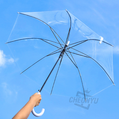 투명 우산 (8개 1세트)