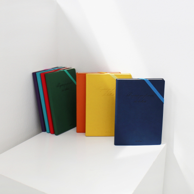 비팬시 마이데이  하드커버 스트랩 카드포켓 만년 다이어리 노트 A5